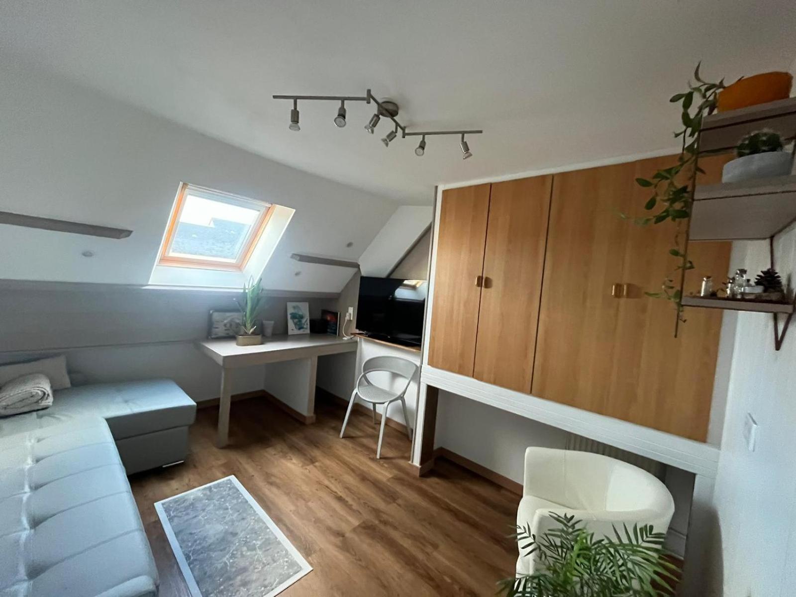 Appartement Type Loft Avec Terrasse Cherbourg-en-Cotentin Exterior foto