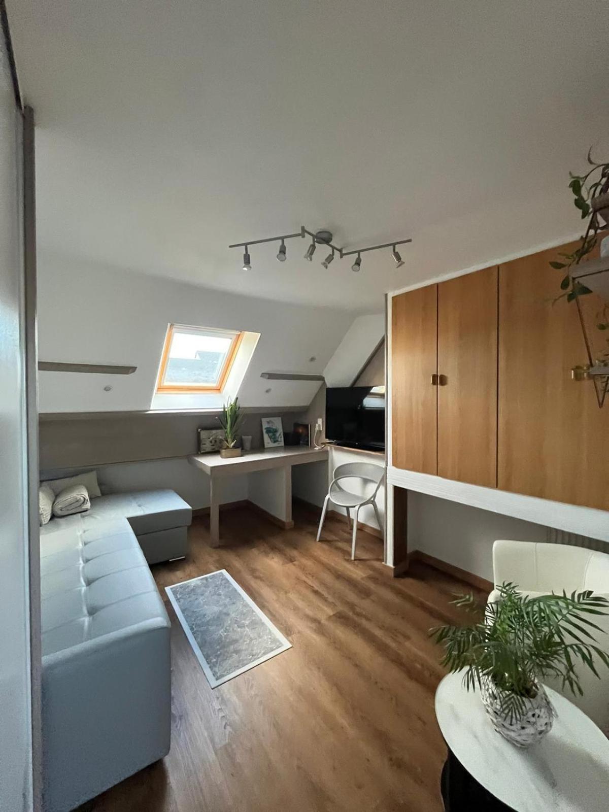Appartement Type Loft Avec Terrasse Cherbourg-en-Cotentin Exterior foto